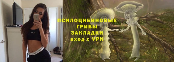 apvp Армянск