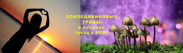 амф Снежногорск