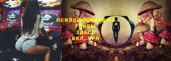 МДМА Арсеньев