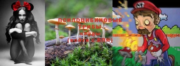 apvp Армянск