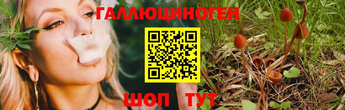 Геленджик  Галлюциногенные грибы прущие грибы  где найти   Вход с VPN 