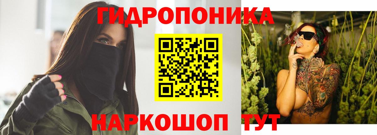 Бошки марихуана конопля Геленджик